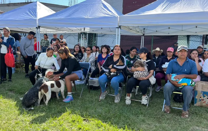 Atlixco inicia jornada de vacunación antirrábica para perros y gatos