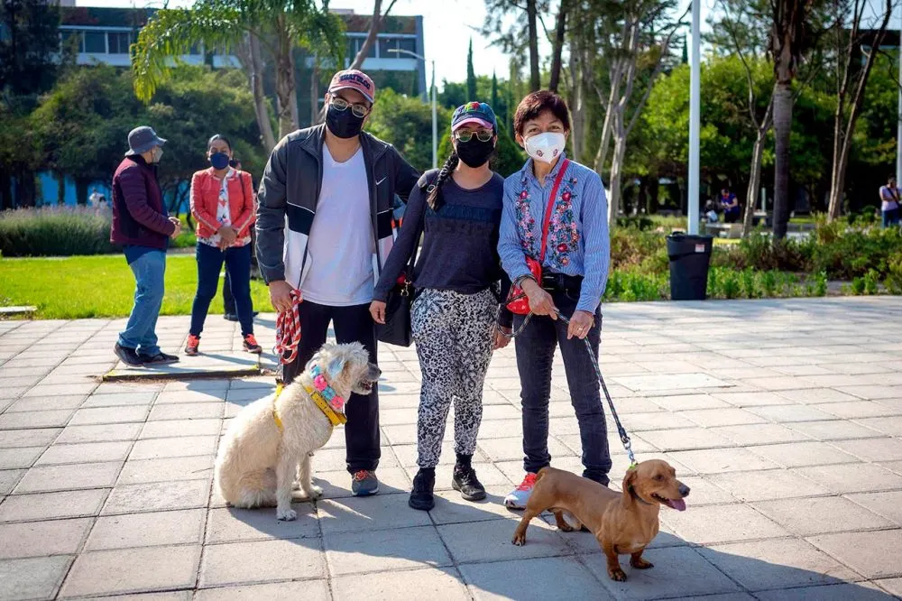 Buap Entrenamiento Canino