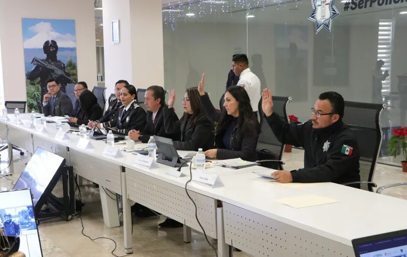 Imagen del artículo