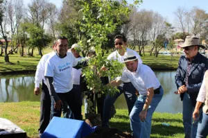 Cuautlancingo y VW reforestan Parque Recreativo El Ameyal