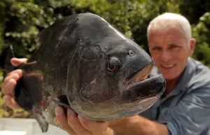 Animal Planet estrena ?Monster Week?