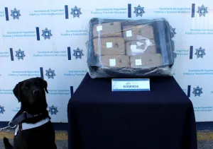Detienen a dos personas en posesión de droga