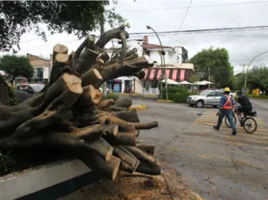 Jalisco reporta saldo blanco tras paso de ‘Patricia’