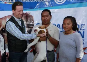 Luis Banck verifica Jornada de Mascotas en la Plazuela de Analco