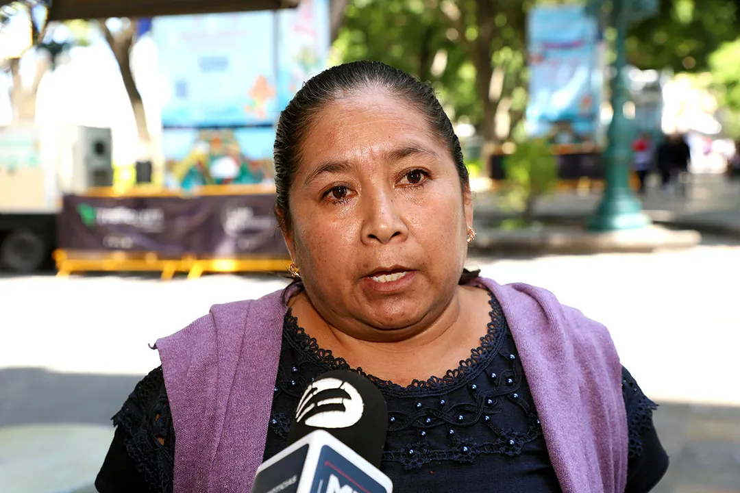 Micaela Castro Solis