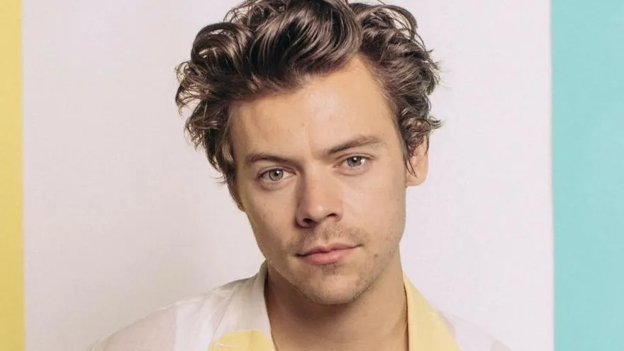 A Harry Styles le avientan nuggets de pollo