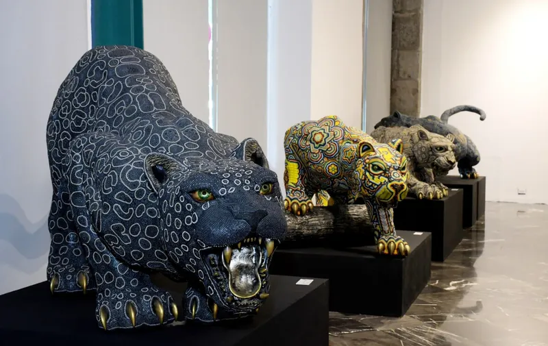 Imagen del artículo