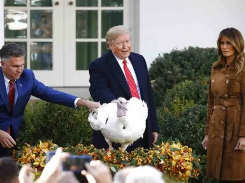 Trump bromea sobre juicio político mientras perdona a pavo