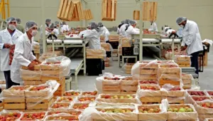 Entregará EPN premio nacional a Agroparque poblano Esperanza