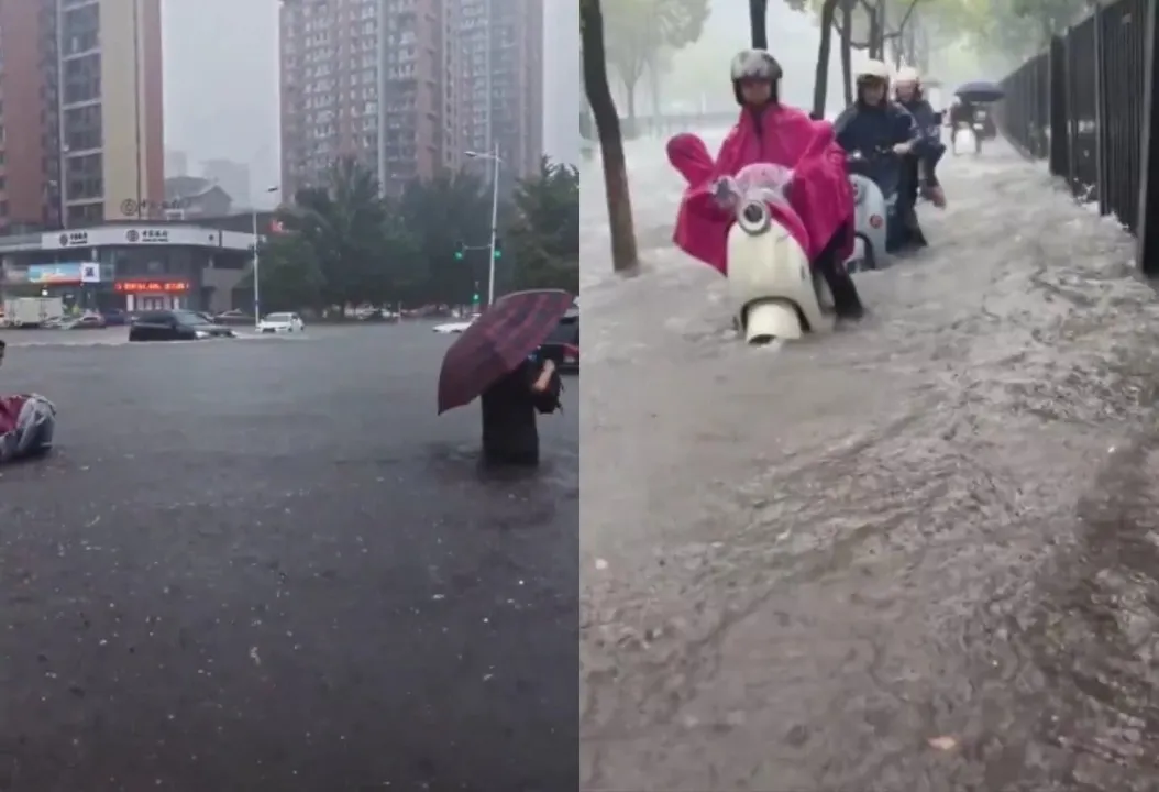 Tifón Dolphin en China