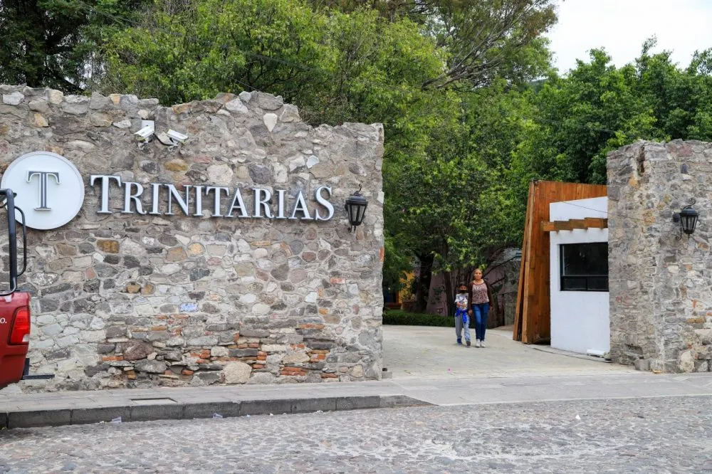 Trinitarias