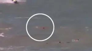 VIDEO: Tiburón arranca la pierna y mata a chica en Brasil