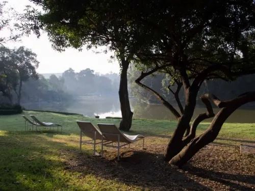 Estos son los beneficios de pasear 10 minutos por un parque