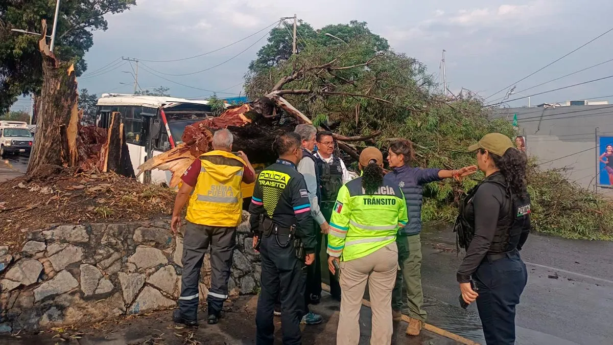 Afectaciones Por Lluvia Puebla