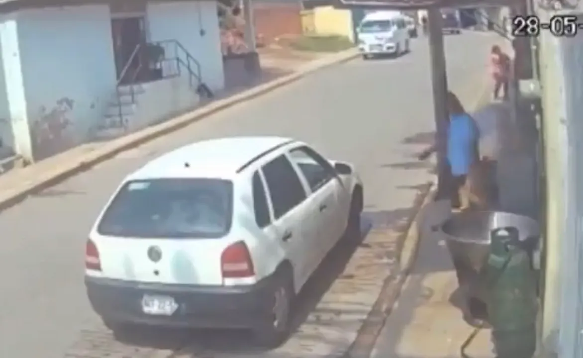 perrito arrojado al aceite hirviendo