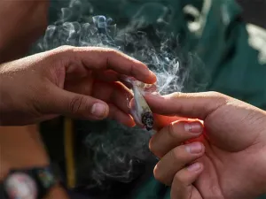 Instalan consejo técnico sobre legalización de mariguana