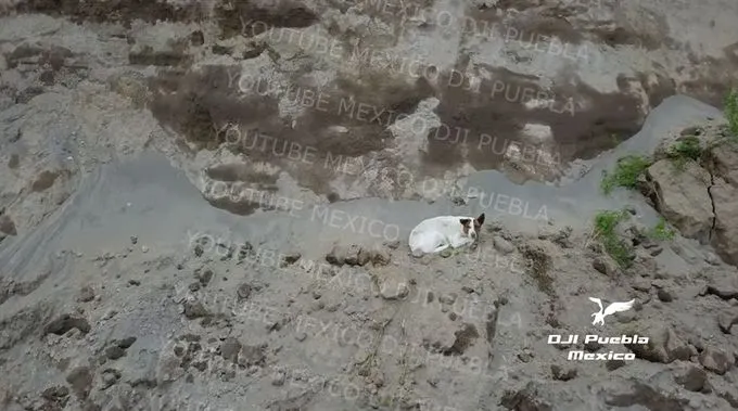 Foto: Captura de pantalla de dron de MEXICO DJI Puebla