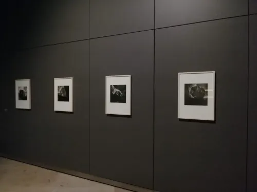 Entregan  premios a ganadores de plataforma de impulso al arte contemporáneo