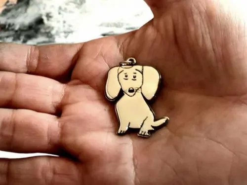 Hizo dije de ‘Estrella’, la perrita que buscan con un dibujo