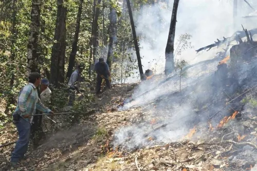 Cero incendios forestales activos en la entidad, reporta PC estatal