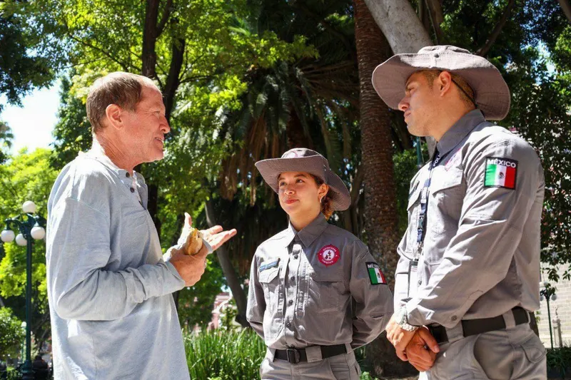 gob-pue-operativo-especial-el-buen-fin
