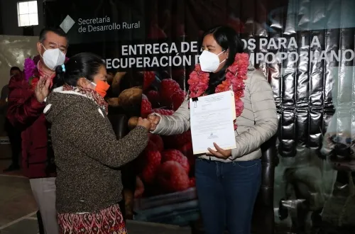 Política de café en Puebla tiene como prioridad a los productores: Altamirano