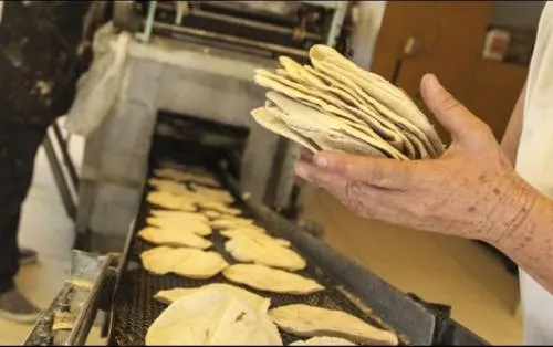 Reportan 26 personas intoxicadas por comer tortillas en Sonora