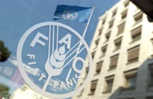 Reconoce FAO acciones de México contra el hambre