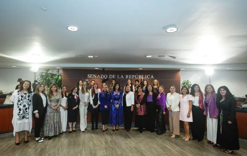congreso-pue-catedra-hermila-galindo-senado