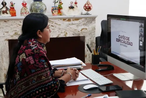 Impulsa gobierno estatal la cafeticultura: Ana Laura Altamirano