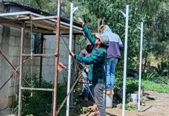 Con celdas solares, Altosano Granjas Carroll electrifica 38% de Ranchería Cerro Viento