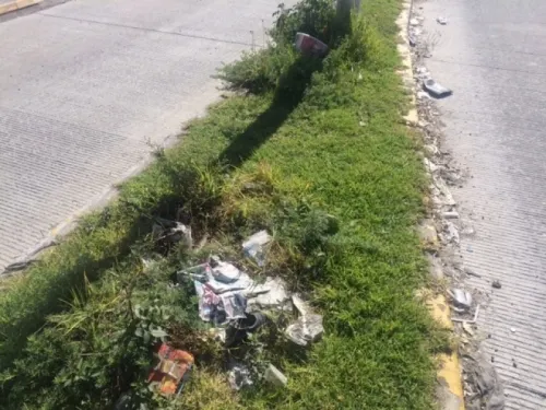 Sin mantenimiento, camellones de la capital poblana