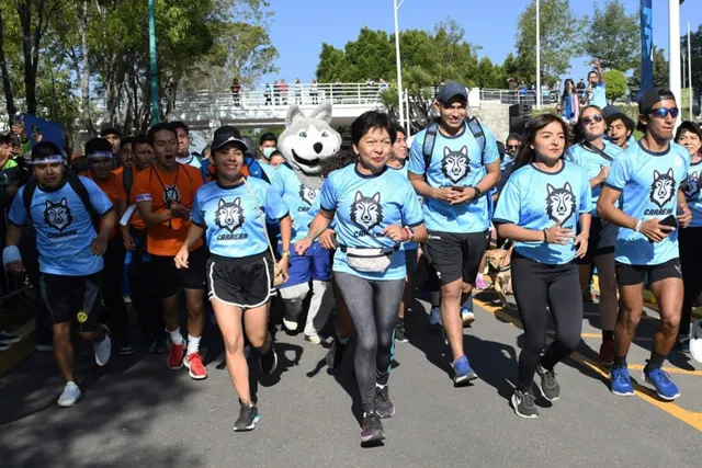 Carrera Universitaria 2023