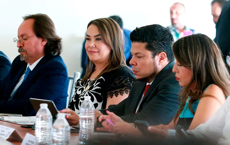 cespedes-peregrina-asamblea-plenaria