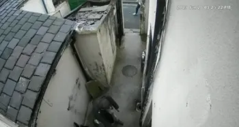 VIDEO: Frustran intento de robo echando agua hirviendo a ladrón 