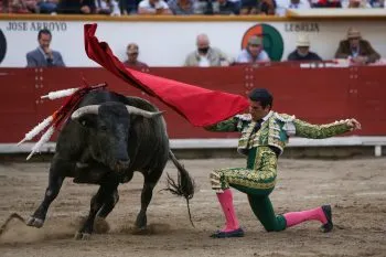 Cancelan corrida de toros en Zacatlán por orden de juez