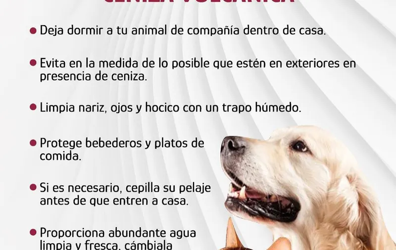 Imagen del artículo