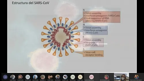 Prueba PCR, la más precisa para detectar Covid-19