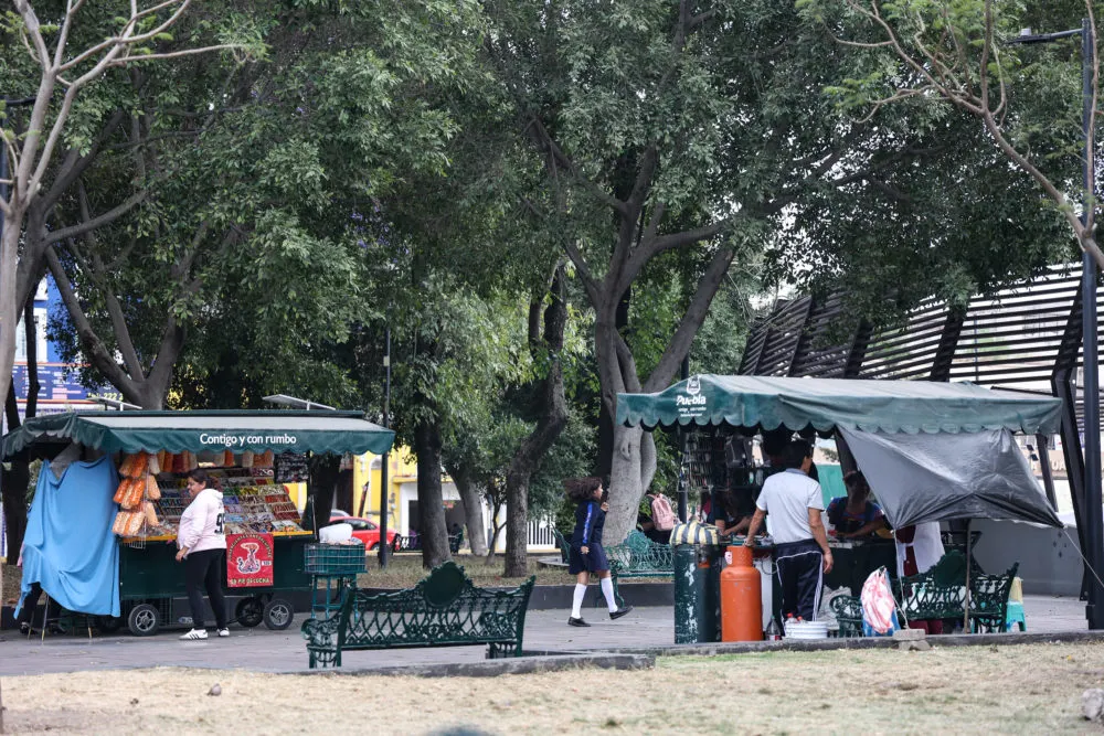 Paseo Bravo