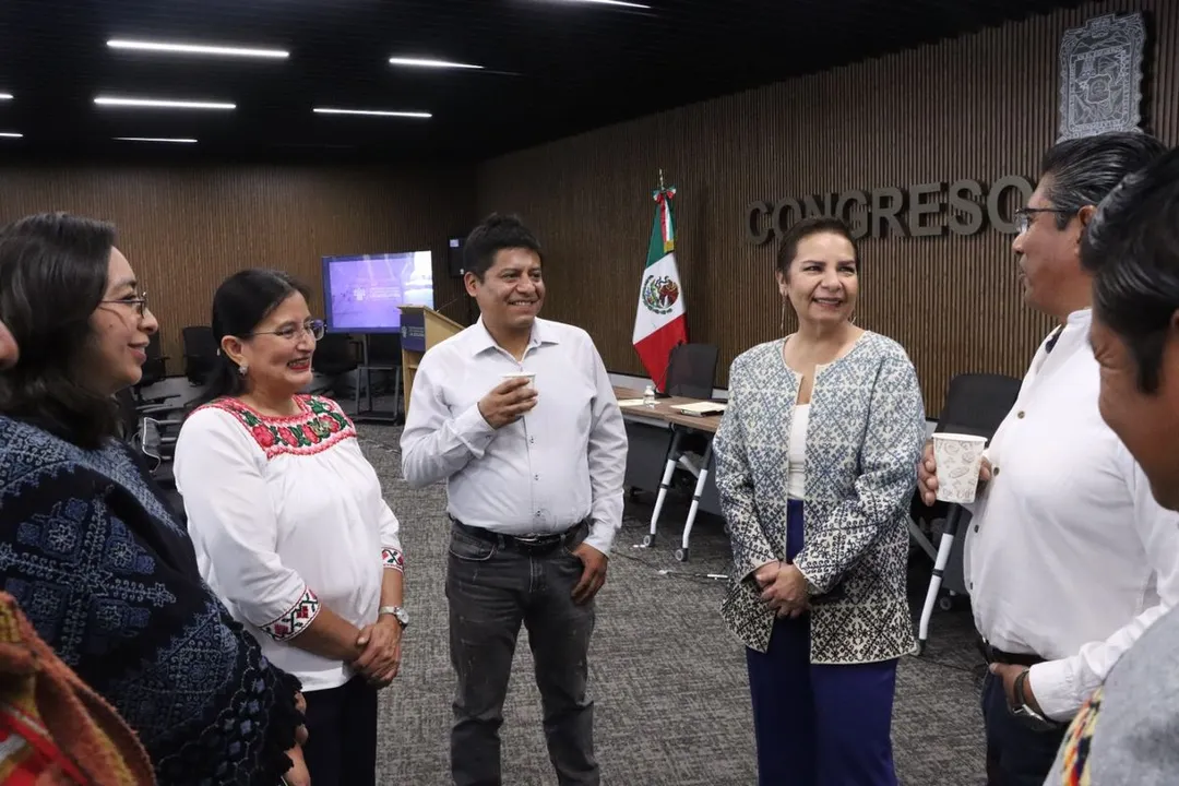 Congreso Pue Derechos Indigenas