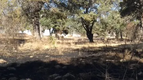 Asesinan a dos jóvenes secuestrados en Texmelucan