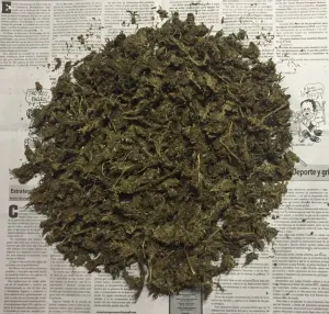 SSP asegura narcomenudista que operaba en la capital
