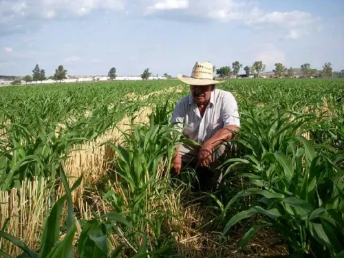 Sentadas las bases de nueva política para el campo: López Obrador