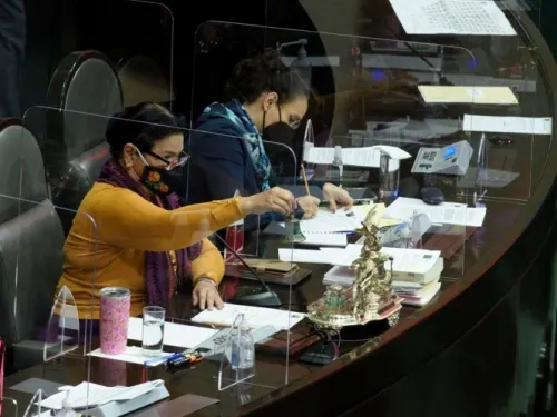 Regalan planta de mariguana a presidenta de Cámara de Diputados