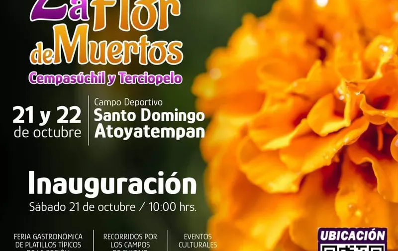 feria-flor-de-cempasuchil-terciopelo-atlixco