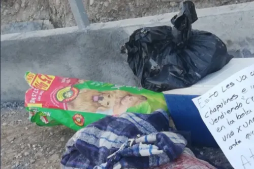 Por tercera vez en esta semana, hallan restos humanos en Nuevo León