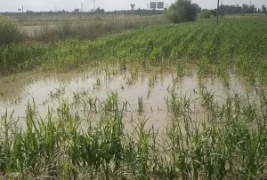 Puebla cuenta con un seguro catastrófico para lluvias