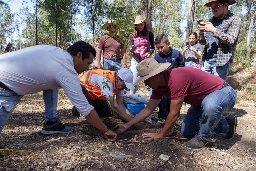 Ayto Pue Reforestacion