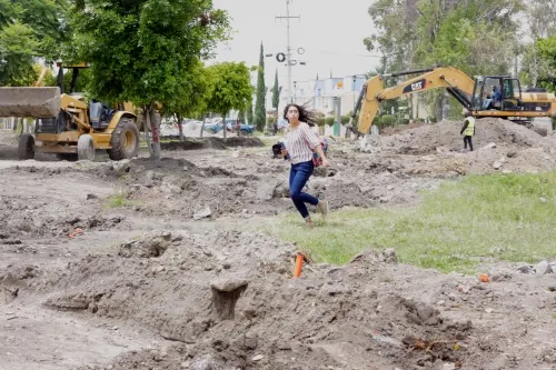 Empresas que reforestaron árboles en Niño Poblano y Zavaleta tendrán  que reinstalarlos
