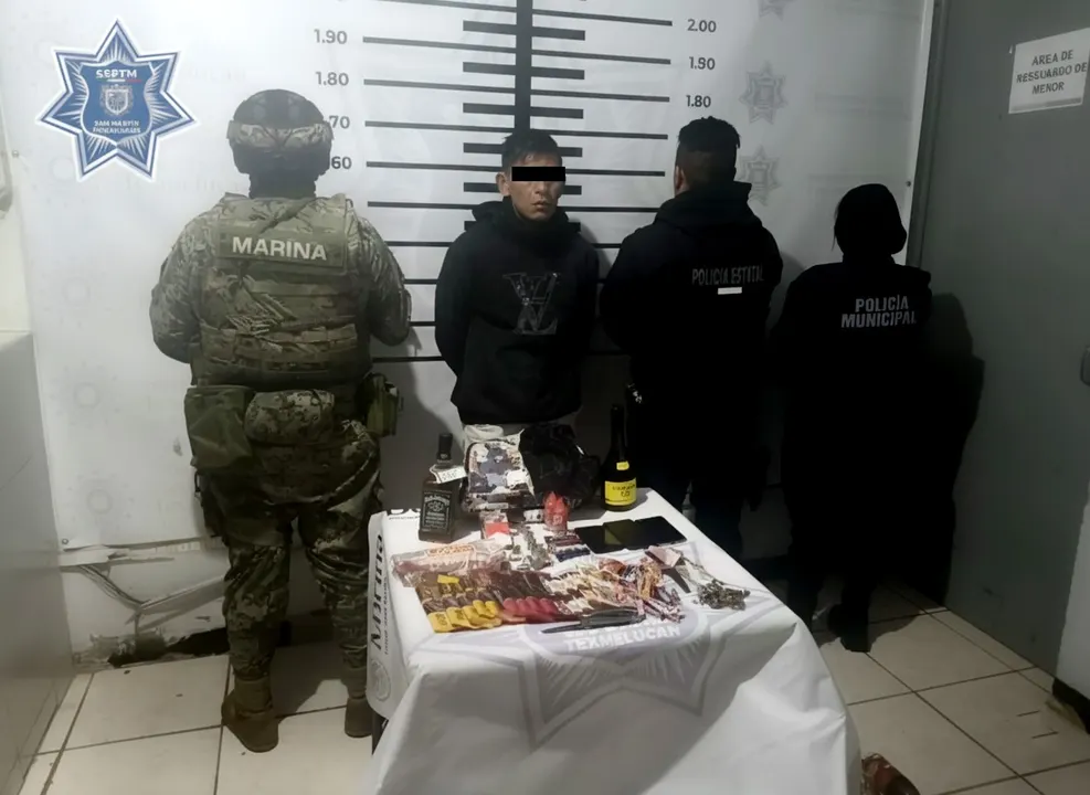 Seguridad Pública